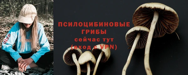PSILOCYBIN Балабаново