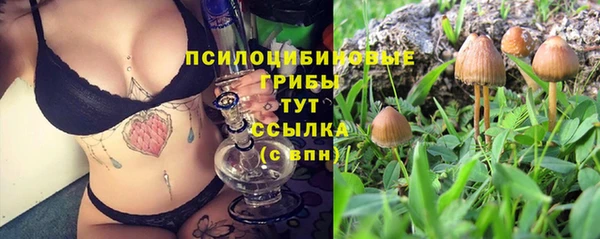PSILOCYBIN Балабаново