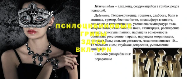 ECSTASY Баксан