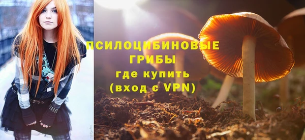 соль ск Балахна